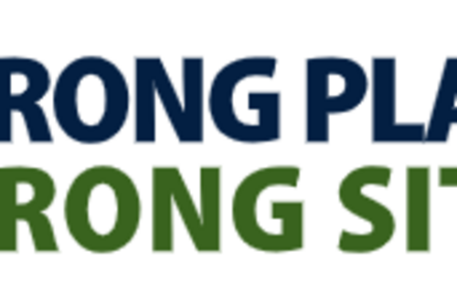 Wrong Plan Wrong Site logo