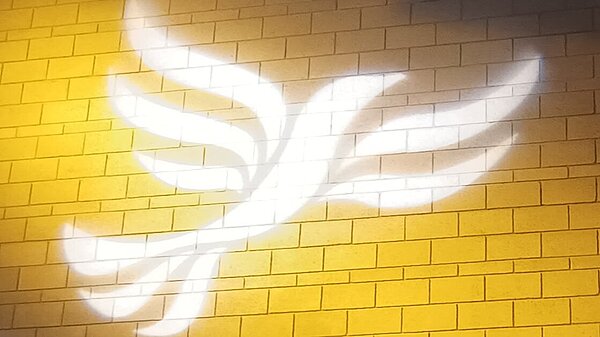 Henley on Thames Lib Dem logo bird projected on blockwork