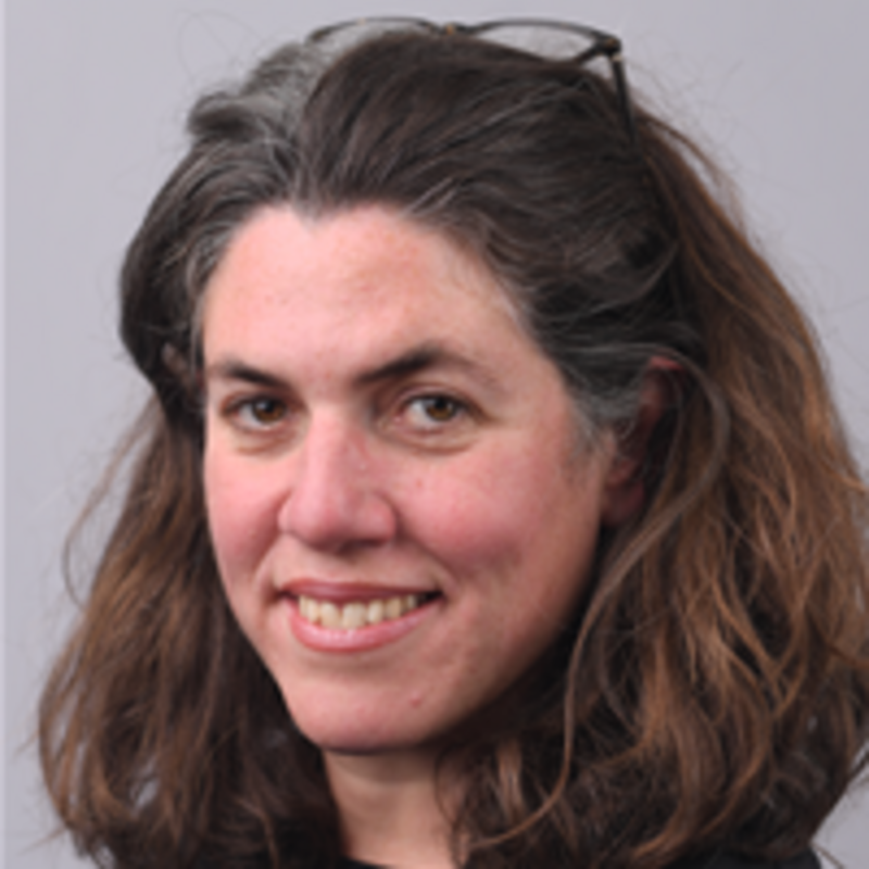 Bethia Thomas, Councillor for Faringdon, Leader