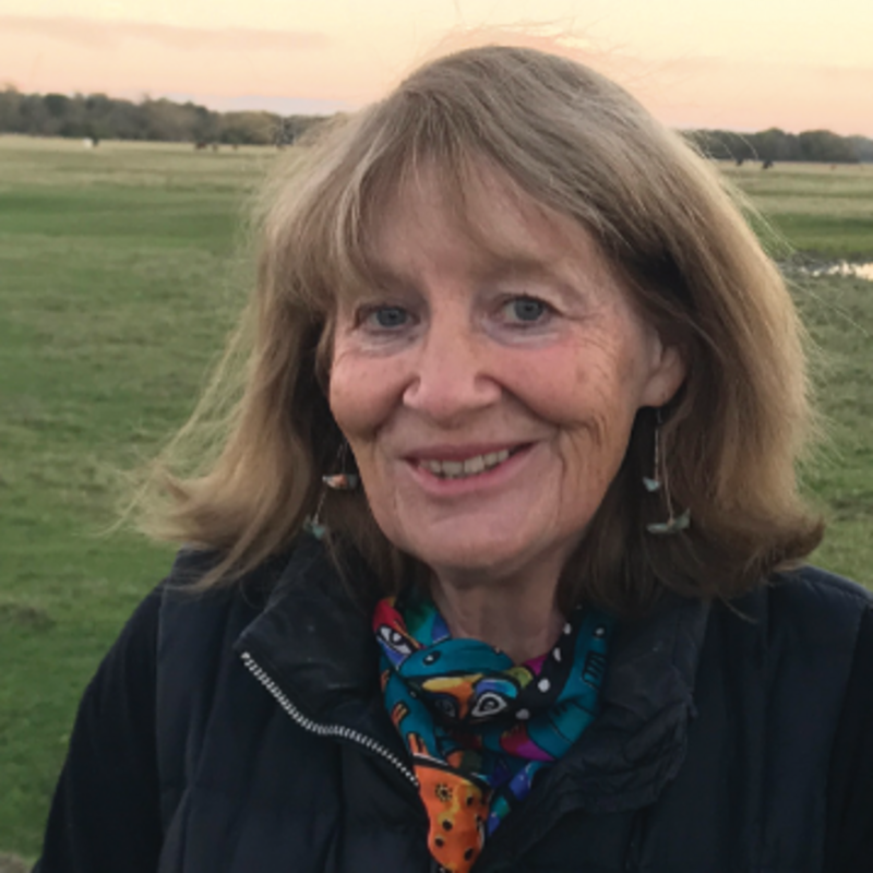 Liz Wade for Walton Manor Liz Wade