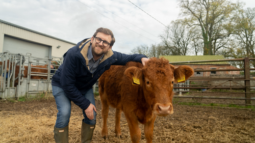 Freddie with a calf during a farm visit