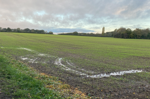 North Field in Hanborough: set to be covered in housing despite strong local opposition